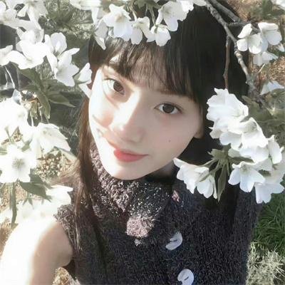 南家三姐妹 甜品别腹